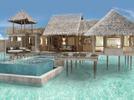 villa with pool 