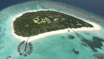 COCO PALM DHUNI KOLHU